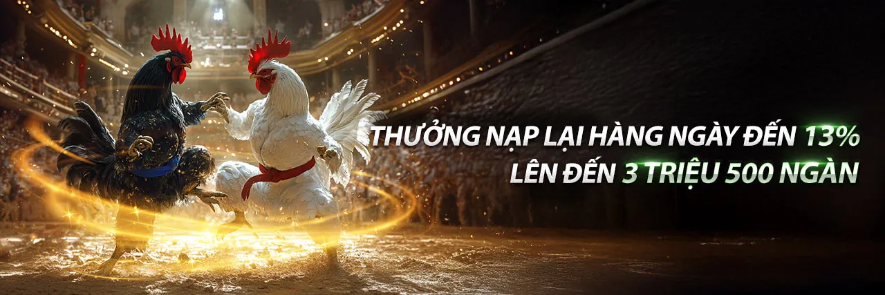 Sân vận động lớn với logo F1680, thể hiện cá cược thể thao sôi động